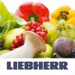 Liebherr - особенность 3