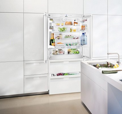 Холодильник Liebherr ECBN6256 | Фото