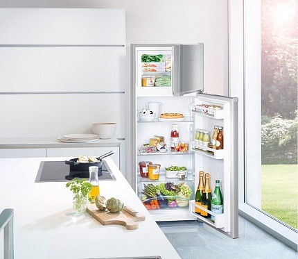 Холодильник Liebherr CTel2531 | Фото